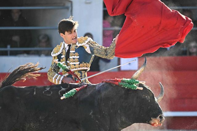 French matador El Rafi performs a pass on a bull during the Arles Feria in Ales, southern France, on May 16, 2026. (Photo by Gabriel BOUYS / AFP)