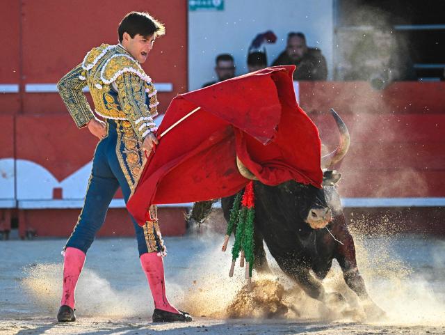 French matador El Rafi peforms a pass on a bull during the Arles Feria in Ales, southern France, on May 16, 2026. (Photo by Gabriel BOUYS / AFP)