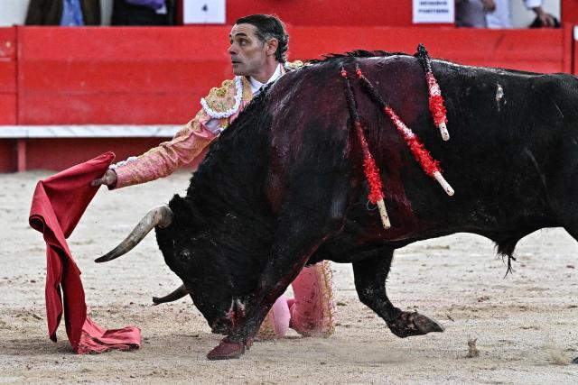 Spanish matador Sanchez Vara performs a pass on a fighting bull in Ales, Southern France, on May 16, 2026. (Photo by Gabriel BOUYS / AFP)