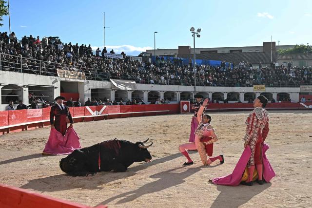 Spanish matador Sanchez Vara salutes the death of a fighting bull in Ales, Southern France, on May 16, 2026. (Photo by Gabriel BOUYS / AFP)