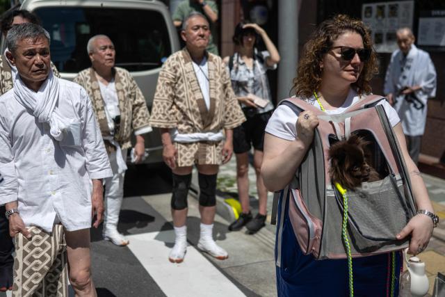 A woman carrying her dog looks on near participants in the Sanja Matsuri festival in Tokyo on May 17, 2026, one of Tokyo’s largest Shinto celebrations. (Photo by Andrew CABALLERO-REYNOLDS / AFP)