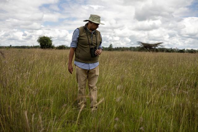 Entomologist Dr Dino Martins, search for giant African harvester ants nests, in Silole sanctuary in Kajiado on May 13, 2026. Kenyan ant-expert Dino Martins gushes over the red and black insects that have become the centre of an international smuggling trade.
Martins was shocked when he learned that thousands of queens from this Messor cephalotes species were being harvested and shipped abroad in syringes and test tubes to be sold for hundreds of dollars each.
The trade came to light in Kenya last year when two Belgian teenagers were arrested in possession of nearly 5,000 queen ants, and accused of "biopiracy". (Photo by SIMON MAINA / AFP)