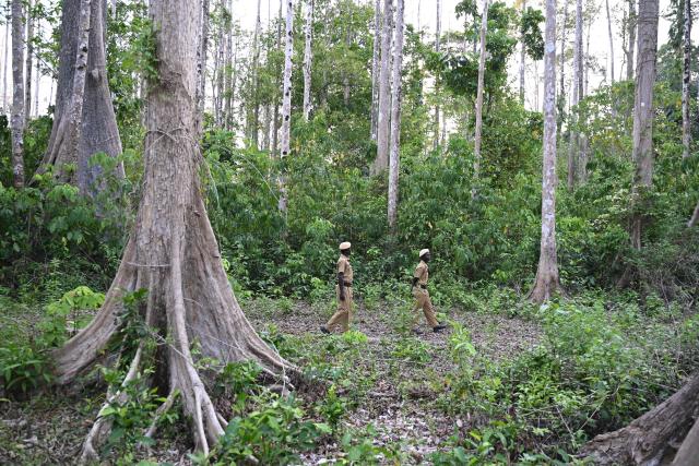 This photograph taken on March 22, 2026 shows members of the Onge tribal community who joined as police homeguards, patrolling in a forested area near the Hut Bay police station on Little Andaman island in India's Andaman and Nicobar Islands. Outsiders call the Indian Ocean island Little Andaman and its long-isolated guardians the Onge, but those preserving an age-old way of life now under threat have their own names. A $9 billion development plan across India's wider Andaman and Nicobar Islands will affect communities throughout the scattered archipelago. Authorities, treading a delicate line in managing contact, began last year recruiting more than 500 young men from communities across the archipelago as police "homeguards" to help manage relations with outsiders. (Photo by R. Satish BABU / AFP)
