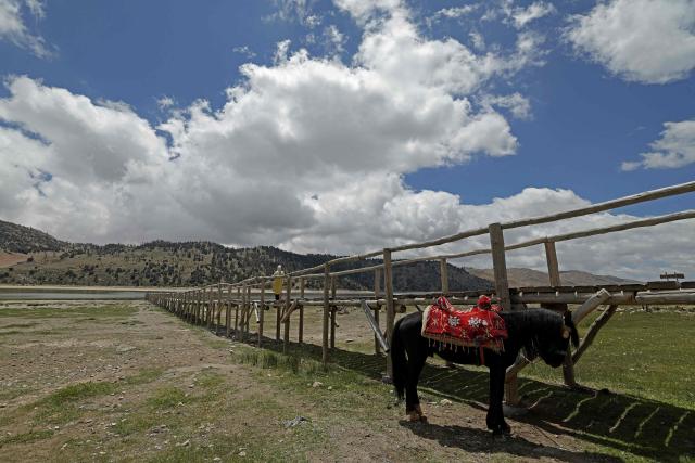 A woman stands near a horse as she visits the Lake Aguelmame Sidi Ali in the Khenifra province of Morocco on May 17, 2026. (Photo by Abdel Majid BZIOUAT / AFP)