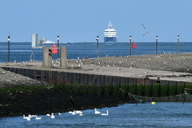 The Dutch Hantavirus-hit cruise ship MV Hondius sails off the Netherlands' coast as it approaches the port of Rotterdam on May 18, 2026. Cruise ship MV Hondius is expected to arrive at the port of Rotterdam and the ship's crew members will undergo a medical screening. (Photo by NICOLAS TUCAT / AFP)