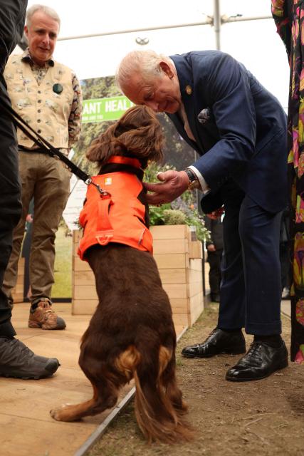 Britain's King Charles III on the press day ahead of the 2026 RHS Chelsea Flower Show in London on May 18, 2026. (Photo by Adrian DENNIS / POOL / AFP)