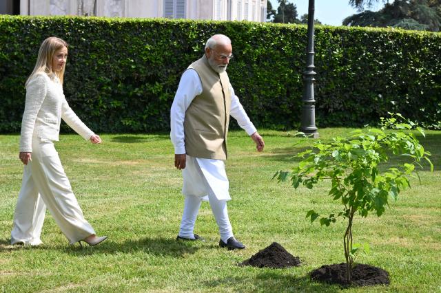 Italian Prime Minister Giorgia Meloni (L) and Indian Prime Minister Narendra Modi (R) walk by a tree after planting it at Villa Doria Pamphili in Rome on May 20, 2026, as the two leaders hold bilateral talks focusing on strengthening India-Italy cooperation. (Photo by Alberto PIZZOLI / AFP)