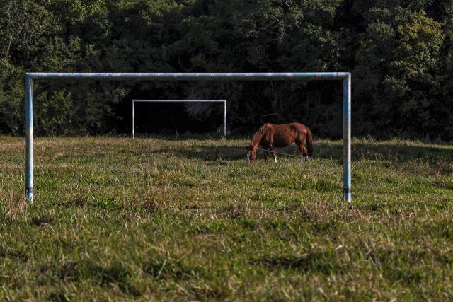 A horse is seen at the old Santa Rita football fields, now used as horse pasture, where Brazilian international football player Raphinha trained during his time with Esporte Clube 2014, a social football project, in Viamao, Rio Grande do Sul state, Brazil, on May 16, 2026. (Photo by SILVIO AVILA / AFP)