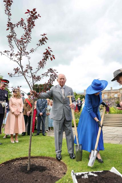 Britain's King Charles III and Britain's Queen Camilla plant a Malus Royalty tree during a Garden Party at Hillsborough Castle, in Hillsborough, Northern Ireland on May 20, 2026, on the second day of a three-day royal visit to Northern Ireland. (Photo by Chris Jackson / POOL / AFP)