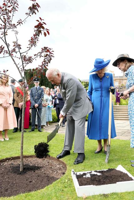 Britain's King Charles III and Britain's Queen Camilla plant a Malus Royalty tree during a Garden Party at Hillsborough Castle, in Hillsborough, Northern Ireland on May 20, 2026, on the second day of a three-day royal visit to Northern Ireland. (Photo by Chris Jackson / POOL / AFP)