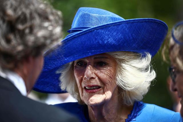 Britain's Queen Camilla attends a garden party at Hillsborough Castle in Hillsborough, Northern Ireland on May 20, 2026, on the second day of a three-day royal visit to Northern Ireland. (Photo by Henry NICHOLLS / POOL / AFP)
