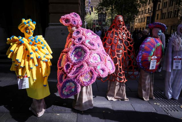 Performers wear coral reef-inspired costumes during a show to raise awareness of threats to Australia's Great Barrier Reef in Sydney on May 21, 2026. (Photo by DAVID GRAY / AFP)