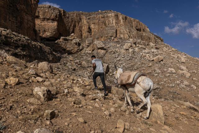 A Palestinian farmer leads a donkey as he guides a flock of sheep out to graze near the village of Nasariya in the occupied West Bank on May 20, 2026, ahead of Eid al-Adha, the Muslim Feast of Sacrifice. Eid al-Adha marks the end of the Hajj pilgrimage to Mecca and commemorates the Prophet Abrahams willingness to sacrifice his son as an act of obedience to Allah, with the ritual centred on the slaughter of livestock. For Palestinian farmers in the occupied West Bank, the pastoral tradition linked to the festival is increasingly constrained as grazing areas have significantly shrunk amid the expansion of Israeli settlements. Many now rely more heavily on purchased fodder to feed their animals year-round, while also stepping up farm security amid rising reports of livestock theft. (Photo by JOHN WESSELS / AFP)