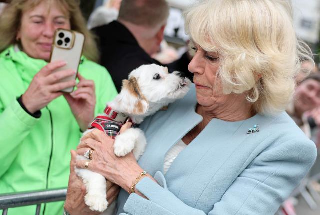 Britain's Queen Camilla reacts as a well-wisher's dog attempts to lick her face during a visit to Newtownards, Northern Ireland on May 21, 2026, on the final day of a three-day royal visit to Northern Ireland. (Photo by Chris Jackson / POOL / AFP)