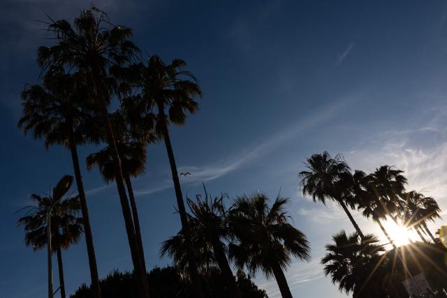 Palm trees are silhouetted along the Boulevard de la Croisette on the sidelines of the 79th edition of the Cannes Film Festival in Cannes, southern France on May 21, 2026. (Photo by SAMEER AL-DOUMY / AFP)