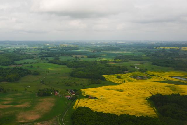 A field of blooming rapeseed flowers is seen from US Secretary of State Marco Rubio’s plane as it departs Malmo Airport in Malmo-Sturup on May 22, 2026, en route to India. (Photo by Julia Demaree Nikhinson / POOL / AFP)