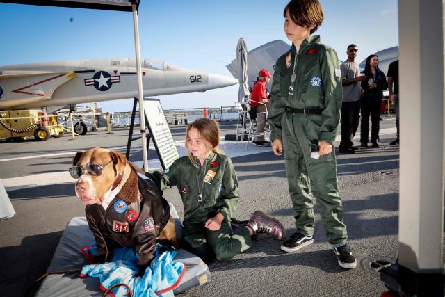 A dog dressed as Maverick poses for fans aboard the USS Midway Museum during the Top Gun 40th Anniversary celebration in San Deigo, on May 22, 2026. (Photo by SANDY HUFFAKER / AFP)