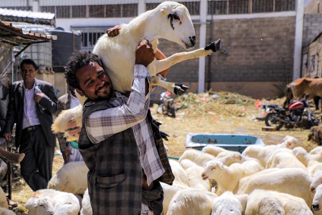 A man carries a sheep at a livestock market in Yemen's Huthi-held capital Sanaa on May 23, 2026, as people prepare ahead of Eid al-Adha, the Muslim Feast of Sacrifice. Eid al-Adha marks the end of the Hajj pilgrimage to Mecca and commemorates the Prophet Abraham’s willingness to sacrifice his son as an act of obedience to God, with the ritual centred on the slaughter of livestock. (Photo by Mohammed HUWAIS / AFP)