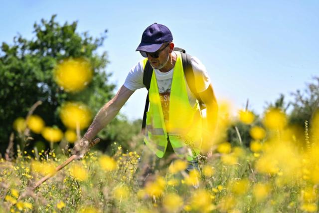 A volunteer participates in a community search in Saint-Étienne-de-Montluc, western France on May 23, 2026, as they look for information relating to Manon Relandeau, who has been missing since March 27. Some 300 volunteers combed the area on the outskirts of Nantes in an effort to find clues relating to the 31-year-old farmer who has been missing for nearly two months. (Photo by Lou BENOIST / AFP)