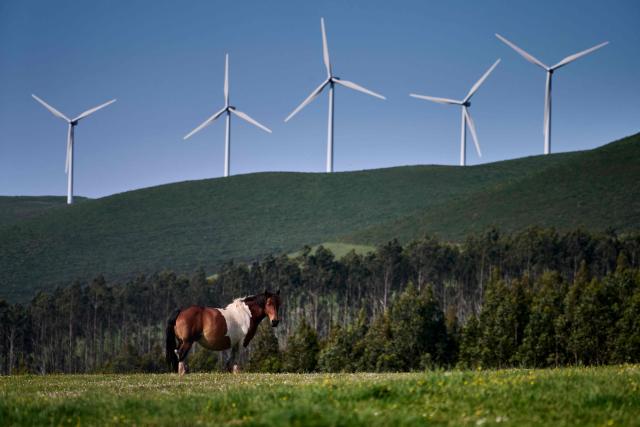 A wild horse grazes in the hills next to the Coruxeiras wind farm, in Muras, some 130 km from Santiago de Compostela , northwestern Spain, on May 26, 2026. (Photo by MIGUEL RIOPA / AFP)
