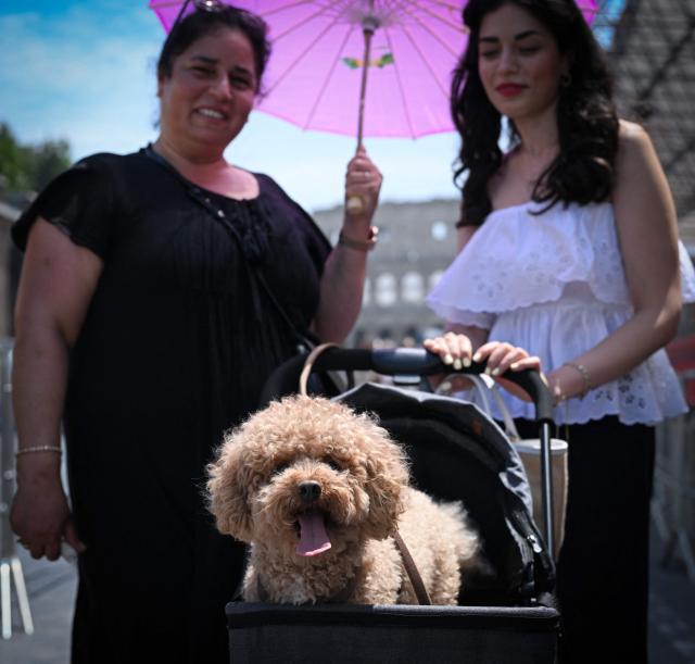 Women stand with their dog on a stroller near the Colosseum during an early-season heatwave in Rome on May 28, 2026.  (Photo by Tiziana FABI / AFP)