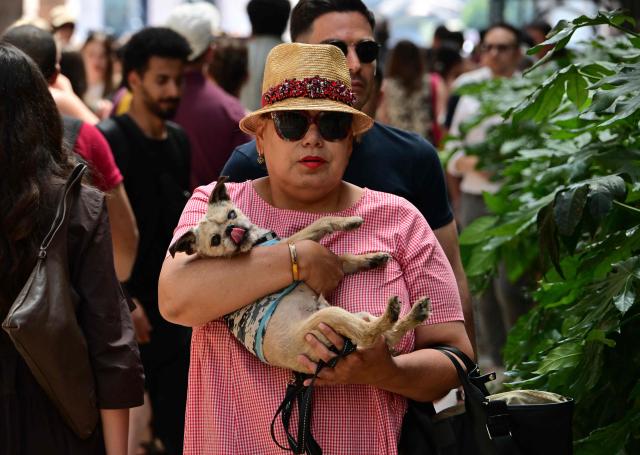 A tourist carries her dog in her arms in Galleria Vittorio Emanuele II downtown Milan during an early-season heatwave in Europe, on May 28, 2026.  (Photo by Stefano RELLANDINI / AFP)