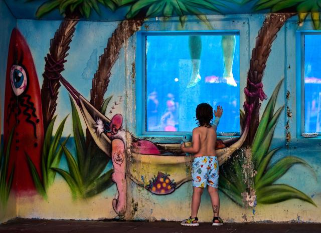 A boy touches a window into a pool into which a man jumped from the 10-meter tower the Grugabad in Essen, western Germany, on May 28, 2026, as temperatures in Germany remain unsuaually high for the season.. (Photo by Ina FASSBENDER / AFP)