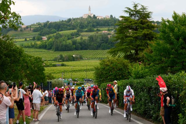 The pack climbs the Muro di Ca’ del Poggio during the 18th stage of the Giro d'Italia 2026 - Tour of Italy cycling race between Fai della Paganella and Pieve di Soligo, Italy, on 28 May 2026. (Photo by Luca Bettini / POOL / AFP)