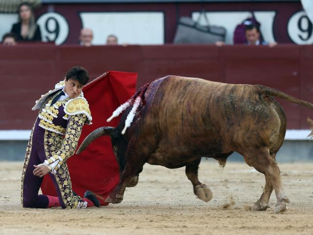 Peruvian bullfighter Andres Roca Rey performs a pass to a bull during the San Isidro Fair at Las Ventas bullring in Madrid on May 28, 2026. (Photo by ALBERTO SIMON / AFP)
