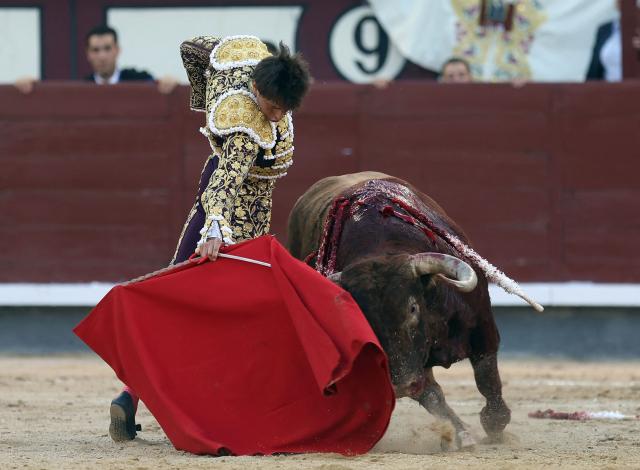 Peruvian bullfighter Andres Roca Rey performs a pass to a bull during the San Isidro Fair at Las Ventas bullring in Madrid on May 28, 2026. (Photo by ALBERTO SIMON / AFP)