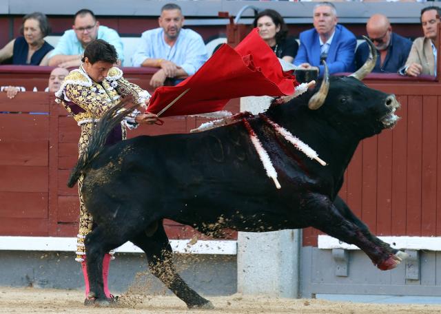 Peruvian bullfighter Andres Roca Rey performs a pass to a bull during the San Isidro Fair at Las Ventas bullring in Madrid on May 28, 2026. (Photo by ALBERTO SIMON / AFP)