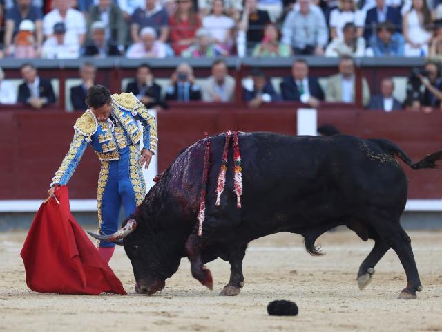 Spanish bullfighter Diego Urdiales performs a pass to a bull during the San Isidro Fair's Press Bullfight at Las Ventas bullring in Madrid on May 28, 2026. (Photo by ALBERTO SIMON / AFP)