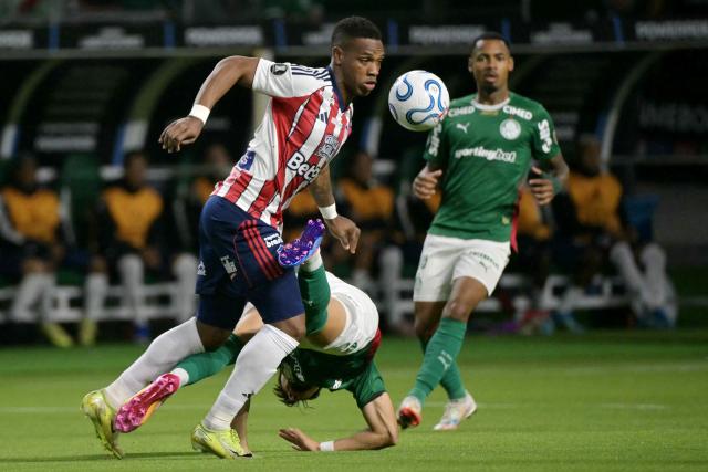 Junior's defender #24 Jean Carlos Pestana (top) and Palmeiras' Argentine forward #42 Jose Manuel Lopez fight for the ball during the Copa Libertadores group stage football match between Brazil's Palmeiras and Colombia's Junior at the Allianz Parque stadium in Sao Paulo, Brazil on May 28, 2026. (Photo by NELSON ALMEIDA / AFP)