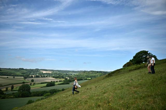 Volunteers carry plastic bags down the hill before collecting old chalk during the once-a-decade restoration of the Cerne Abbas Giant, in Dorchester, southern England on May 29, 2026. (Photo by Ben STANSALL / AFP)