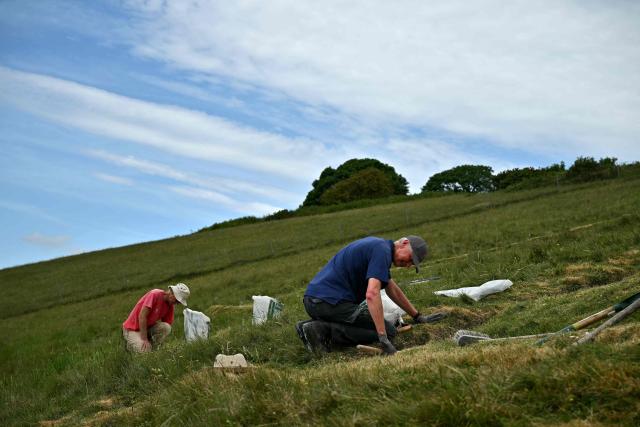 Volunteers work on the once-a-decade restoration of the Cerne Abbas Giant, in Dorchester, southern England on May 29, 2026. (Photo by Ben STANSALL / AFP)