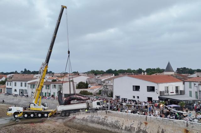 This aerial photograph shows the carcass of a female whale, weighing over 12 tons and measuring 10 meters in length, lifted out of the ocean by a crane and loaded onto a truck at Rivedoux, off France's western Atlantic coast, on May 30, 2026. A ten-meter-long female whale washed ashore and died on a beach on the Île de Ré, according to information released on May 29 by the Charente-Maritime prefecture and the national stranding network. (Photo by ROMAIN PERROCHEAU / AFP)