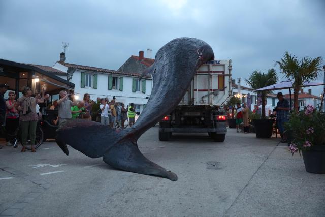 This photograph shows the carcass of a female whale, weighing over 12 tons and measuring 10 meters in length, lifted out of the ocean by a crane and loaded onto a truck at Rivedoux, off France's western Atlantic coast, on May 30, 2026. A ten-meter-long female whale washed ashore and died on a beach on the Île de Ré, according to information released on May 29 by the Charente-Maritime prefecture and the national stranding network. (Photo by ROMAIN PERROCHEAU / AFP)