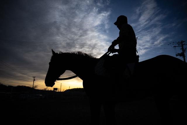 This picture taken on April 22, 2026 shows Mitsukiyo Monma riding a horse during the early morning training session at his stable in Minami-Soma city of Fukushima Prefecture. The Soma Nomaoi began as a way to train mounted warriors and it still looks the same a millennium later, with riders dressed in samurai armour battling it out in horseback events. (Photo by Philip FONG / AFP) / To go with 'Japan-Climate-Festival-Tradition' Focus by Andrew MCKIRDY