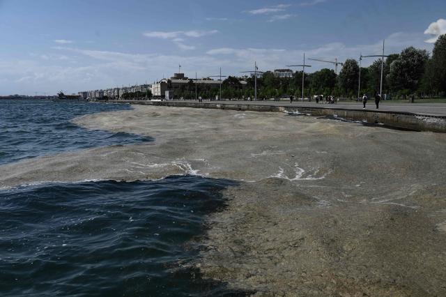 This general view shows phytoplankton covering an area of waterfront in Thessaloniki on June 3, 2026. Phytoplankton occurs in the area of the seafront of the Municipality of Thessaloniki due to the deterioration of the natural phenomenon of red tide in the Thermaikos Gulf. The phenomenon common in summer when high temperatures prevail together with southern winds. (Photo by Sakis Mitrolidis / AFP)