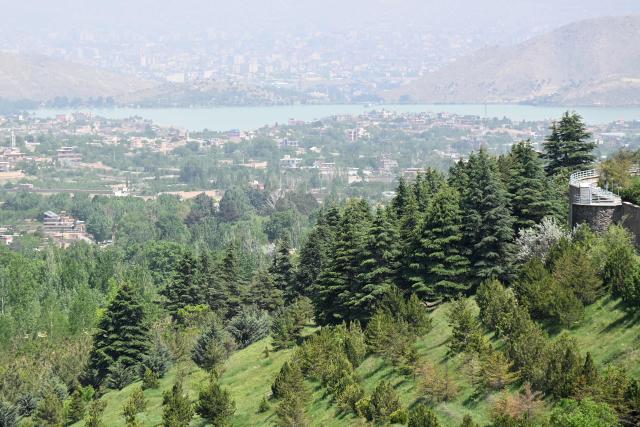 This photograph taken on May 11, 2026 shows a forest near the Qargha lake in Paghman district, Kabul province. Under the shade of recently planted poplars in northeastern Afghanistan, village leader Ghulam Ali Poya is proud to see residents rediscover the value of trees after years of wartime deforestation from the 1979 Soviet invasion until the fall of the first Taliban government in the early 2000s. Efforts are now underway to revive the landscape in communities across Afghanistan. (Photo by Wakil KOHSAR / AFP)
