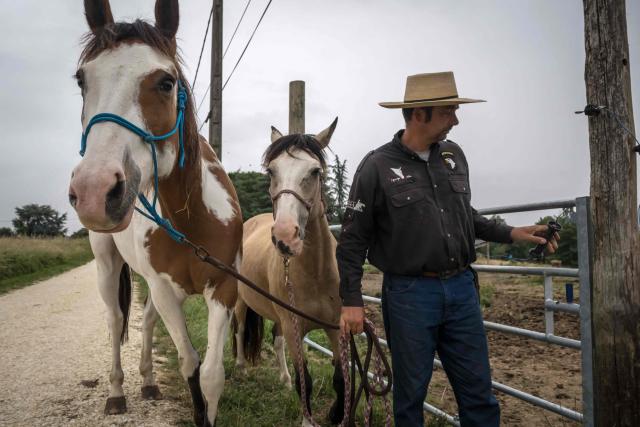 An equestrian centre manager prepares horses to be used to continue the search for 11-year-old Lyhanna who went missing on April 29 after getting into a man's car in front of her middle school in the town of Fleurance, west of Toulouse, on June 4, 2026. A 41 year-old suspect, father of one of Lyhanna's friends, who, prior to her disappearance, had been the subject of several reports and complaints, notably for the rape of a minor, was formally charged on June 1 with kidnapping and false imprisonment, and placed in custody. (Photo by Ed JONES / AFP)
