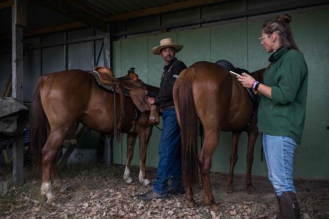 An equestrian centre manager (L) talks with a colleague as they prepare horses to be used to continue the search for 11-year-old Lyhanna who went missing on May 29 after getting into a man's car in front of her middle school in the town of Fleurance, west of Toulouse, on June 4, 2026. A 41 year-old suspect, father of one of Lyhanna's friends, who, prior to her disappearance, had been the subject of several reports and complaints, notably for the rape of a minor, was formally charged on June 1 with kidnapping and false imprisonment, and placed in custody. (Photo by Ed JONES / AFP)