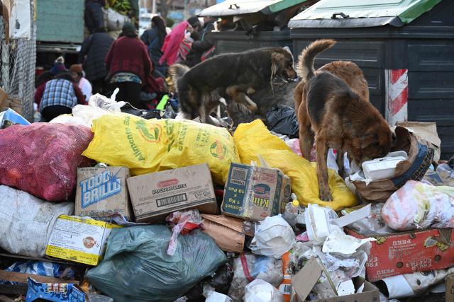 Dogs sniff through accumulated garbage in the street in La Paz on June 4, 2026, amid growing political tensions and supply shortages affecting different regions of the country. The accumulation of waste in the city reached critical levels between late May and early June, posing a serious public health and environmental risk. The disruption of garbage collection services has been attributed to road blockades and, mainly, to a shortage of diesel fuel for collection trucks. (Photo by Aizar RALDES / AFP)