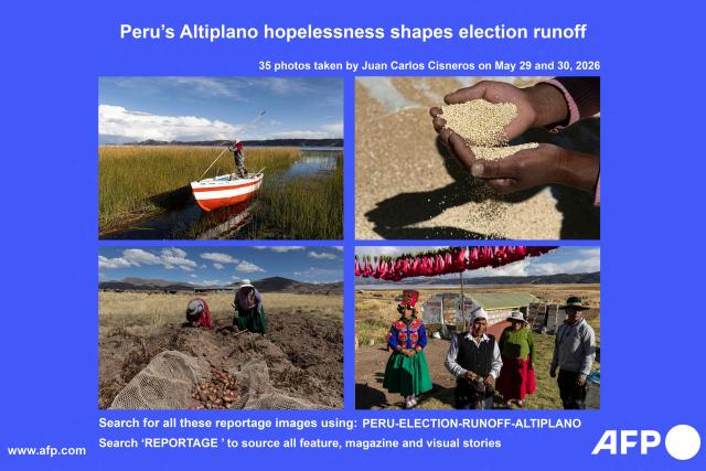 AFP presents a reportage of 35 photos by Juan Carlos Cisneros taken in Puno province, in the Peruvian highlands, on May 29 and 30, 2026. Days before the presidential runoff between right-wing candidate Keiko Fujimori and left-wing candidate Roberto Sanchez, farmers in Peru's Altiplano no longer believe in politicians' promises. Peru's presidential runoff has exposed deep dissatisfaction in the Andean south, where poor rural voters see the election as a bitter choice and say Lima has abandoned them. Search "REPORTAGE"  to source all feature, magazine and Visual Story. (Photo by Juan Carlos CISNEROS / AFP)