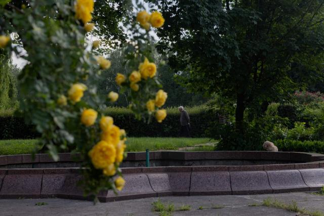 A local resident walks through the botanical garden in Kyiv on June 4, 2026, amid the Russian invasion of Ukraine. (Photo by Tetiana DZHAFAROVA / AFP)
