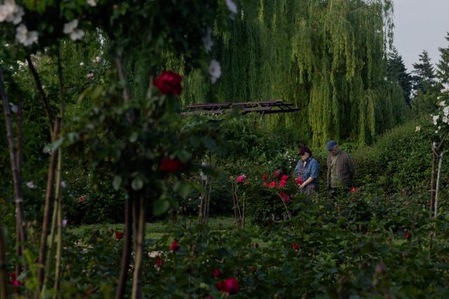 Local residents walk past blooming flowers at the botanical garden in Kyiv on June 4, 2026, amid the Russian invasion of Ukraine. (Photo by Tetiana DZHAFAROVA / AFP)