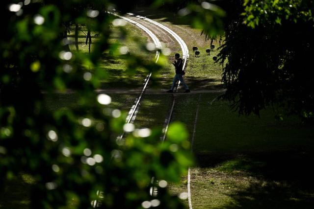 A man walks in a park on the river Main embankment in Frankfurt am Main, western Germany, on June 5, 2026 with air temperature reaching 19 degrees Celsius. (Photo by Kirill KUDRYAVTSEV / AFP)