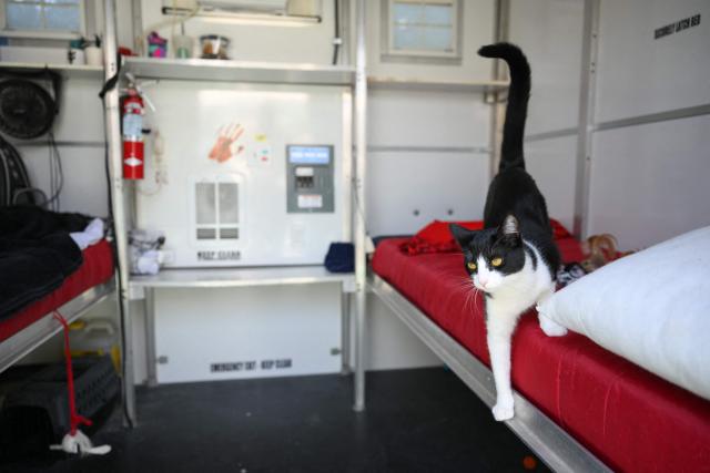 A cat jumps off a bed where they live with their owner inside a Tiny Home Village of Pallet Shelters managed by Hope The Mission for homeless interim housing in the Eagle Rock neighborhood of Los Angeles, California on June 1, 2026. Los Angeles, the second-largest US city prepares to host eight World Cup soccer matches this summer, followed by the 2028 Olympics. Infamous for its squalid encampments—located right on the sidewalks or beneath massive highway overpasses—the "City of Angels" has been pulling out all the stops over the past three years to house its homeless population. Democratic Mayor Karen Bass has made this a top priority, ramping up initiatives to fund thousands of housing spots, whether in hotels or in "tiny homes" (Photo by Patrick T. Fallon / AFP)