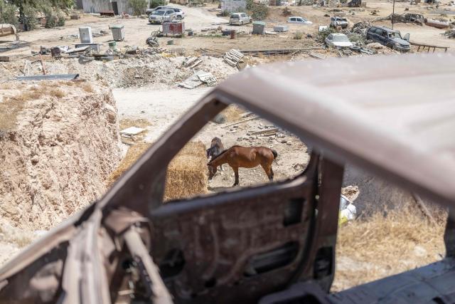 Horses stand at the Bedouin community of Tel Arad, that is being self demolished ahead of a date that was given to the residents by Israeli authorities in Negev desert, in southern Israel on June 7, 2026. (Photo by Ilia YEFIMOVICH / AFP)