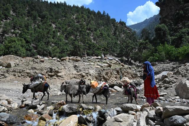 An Afghan woman holding a child leads donkeys across a stream at Wama district in Nuristan province on June 7, 2026. (Photo by Wakil KOHSAR / AFP)